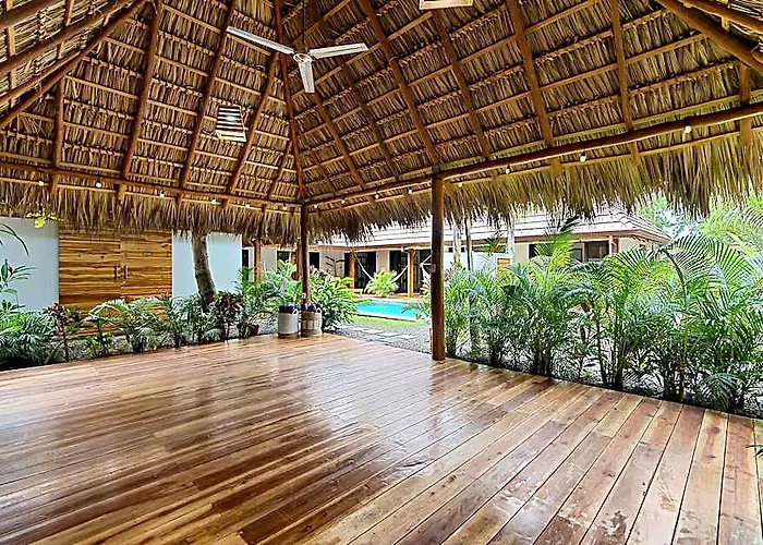 Ave Del Paraiso