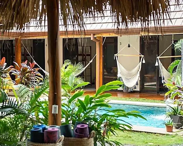 Ave Del Paraiso 3*