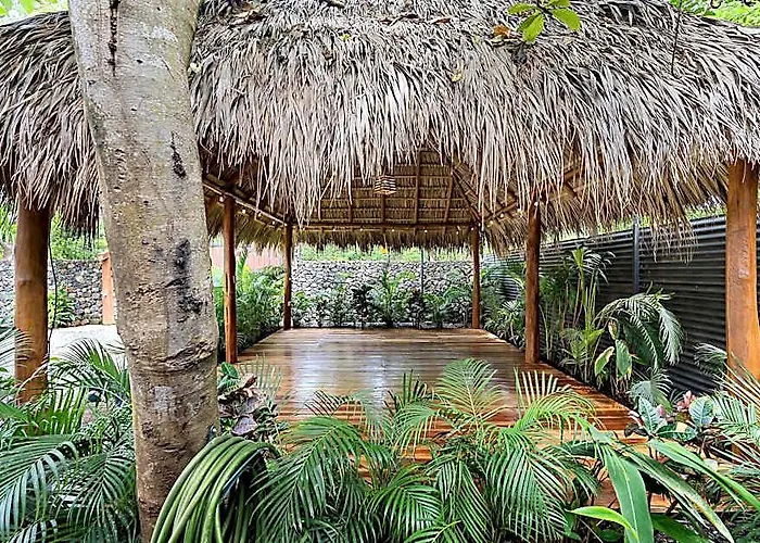 Hotel Ave Del Paraiso